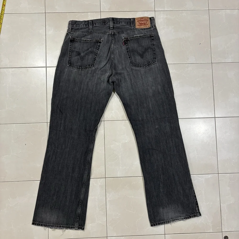 Levis levis 527